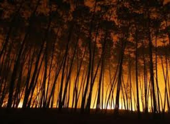 Incêndios em Mato e Florestais